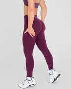 Evolve Seamless Leggings